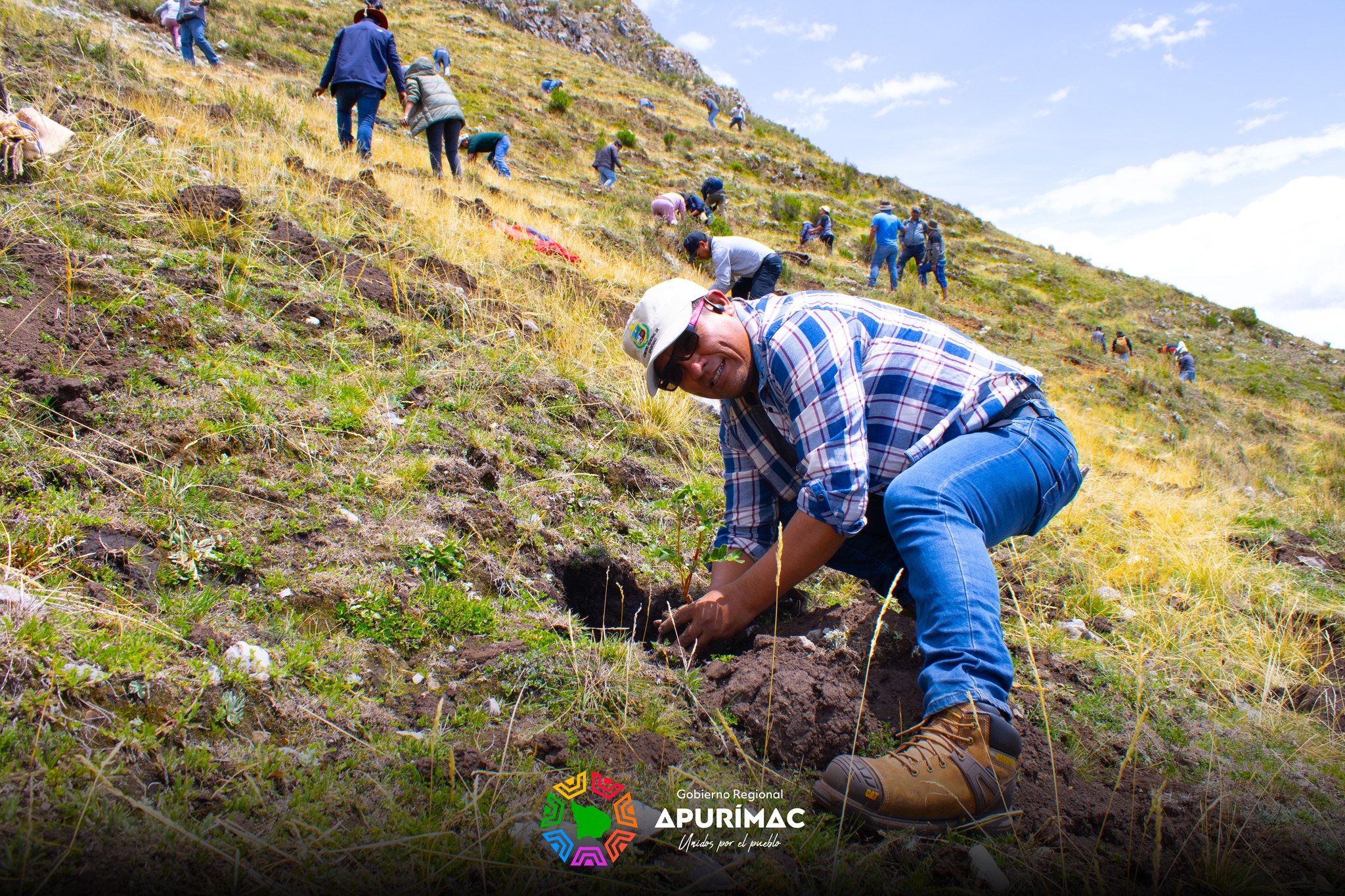  En Huaquirca-Antabamba inició la primera etapa de la plantación de un millón de árboles de Queuña