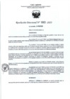 Vista preliminar de documento RD- 1863