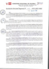 Vista preliminar de documento RDR_N_413-2023-GRU-DRA