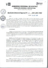 Vista preliminar de documento RDR_N_419-2023-GRU-DRA