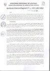 Vista preliminar de documento RDR_N_422-2023-GRU-DRA