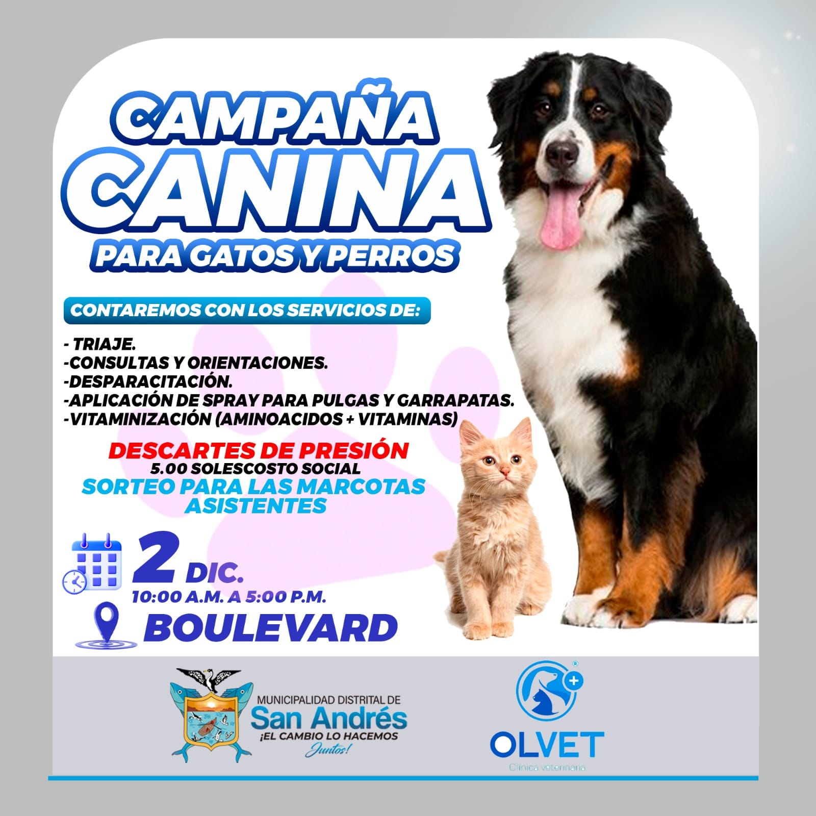 CAMPAÑA CANINA PARA GATOS Y PERROS