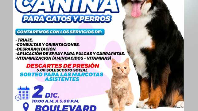 CAMPAÑA CANINA PARA GATOS Y PERROS