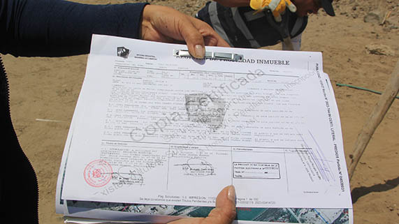 foto 4 noviembre 29