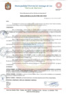 Vista preliminar de documento Resolucion 300