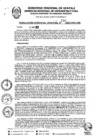Vista preliminar de documento RGR0346-2023-GRI