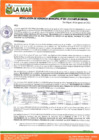 Vista preliminar de documento RGM-265-2023-MPLM