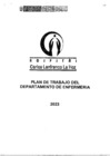 Vista preliminar de documento Plan de Trabajo del Departamento de Enfermería - 2023