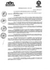 Vista preliminar de documento Ordenanza-municipal-N-220-MDY