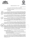 Vista preliminar de documento Ordenanza-Municipal-N-217-MDYxpbQR