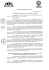 Vista preliminar de documento Ordenanza-Municipal-N-216-MDYGx526