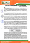 Vista preliminar de documento RGM-267-2023-MPLM