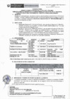 Vista preliminar de documento SUBASTA PUBLICA DE BIENES N° 001-2023