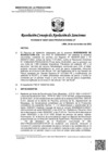 Vista preliminar de documento RCONAS-00207-2023-PRODUCE-CONAS-UT