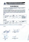 Vista preliminar de documento FE DE ERRATAS