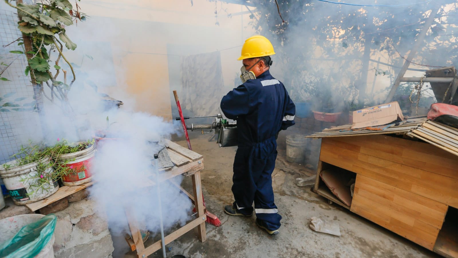 Áncash 30 000 viviendas serán fumigadas para cortar la cadena de transmisión del dengue en Chimbot