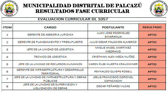 RESULTADOS DE LA FASE CURRICULAR