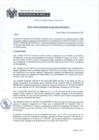 Vista preliminar de documento rj234-ogaf-mdpp-2023