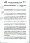 Vista preliminar de documento RDR N° 489-2023-GRU-DRA