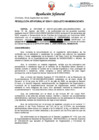Vista preliminar de documento RJ NRO 411-2023