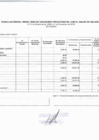 Vista preliminar de documento SALDOS DE BALANCE - 2020