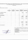 Vista preliminar de documento SALDOS DE BALANCE - 2022
