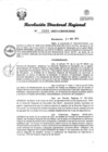 Vista preliminar de documento RDR Nº 3589-2023-GRSM-DRE