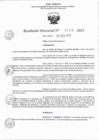 Vista preliminar de documento RD 0459-2023