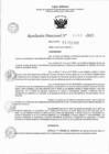Vista preliminar de documento RD 0460-2023