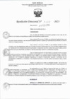 Vista preliminar de documento RD 0462-2023