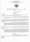 Vista preliminar de documento RD 0465-2023
