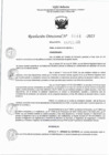 Vista preliminar de documento RD 0466-2023