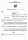 Vista preliminar de documento RD 0473-2023