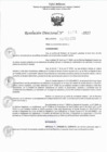 Vista preliminar de documento RD 0476-2023