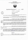 Vista preliminar de documento RD 0480-2023