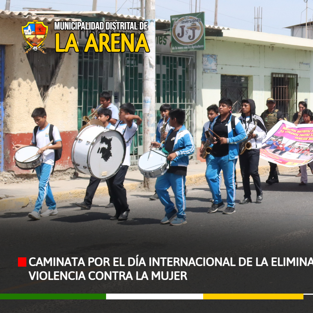 ELIMINACION DE VIOLENCIA CONTRA LA MUJER