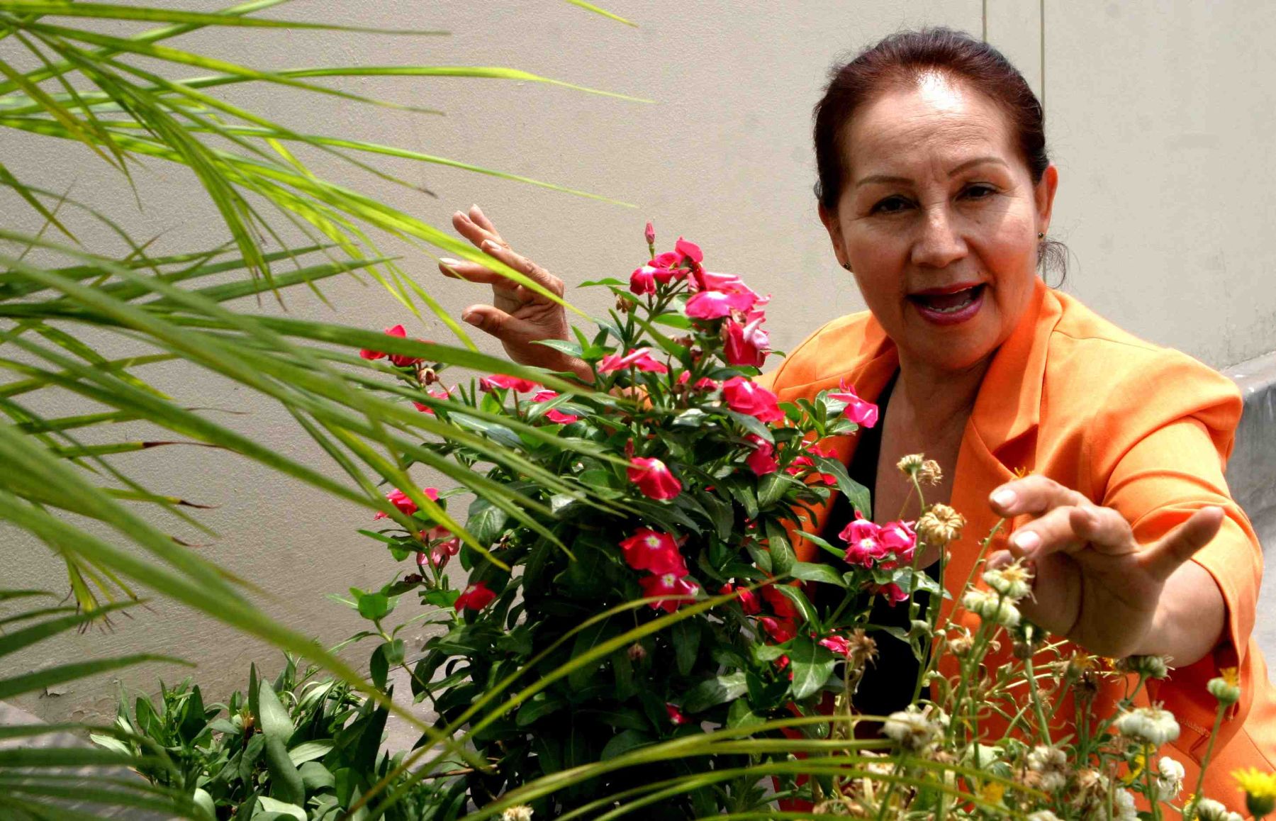 Otorgan Personalidad Meritoria de la Cultura Edwin Montoya y Rómulo Melgar, y una distinción póstuma a Neli Munguía