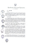 Vista preliminar de documento RDE N° 023-2023-PEL