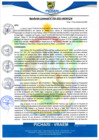 Vista preliminar de documento rgm503