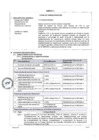 Vista preliminar de documento Anexo 2_Ficha de Homologación