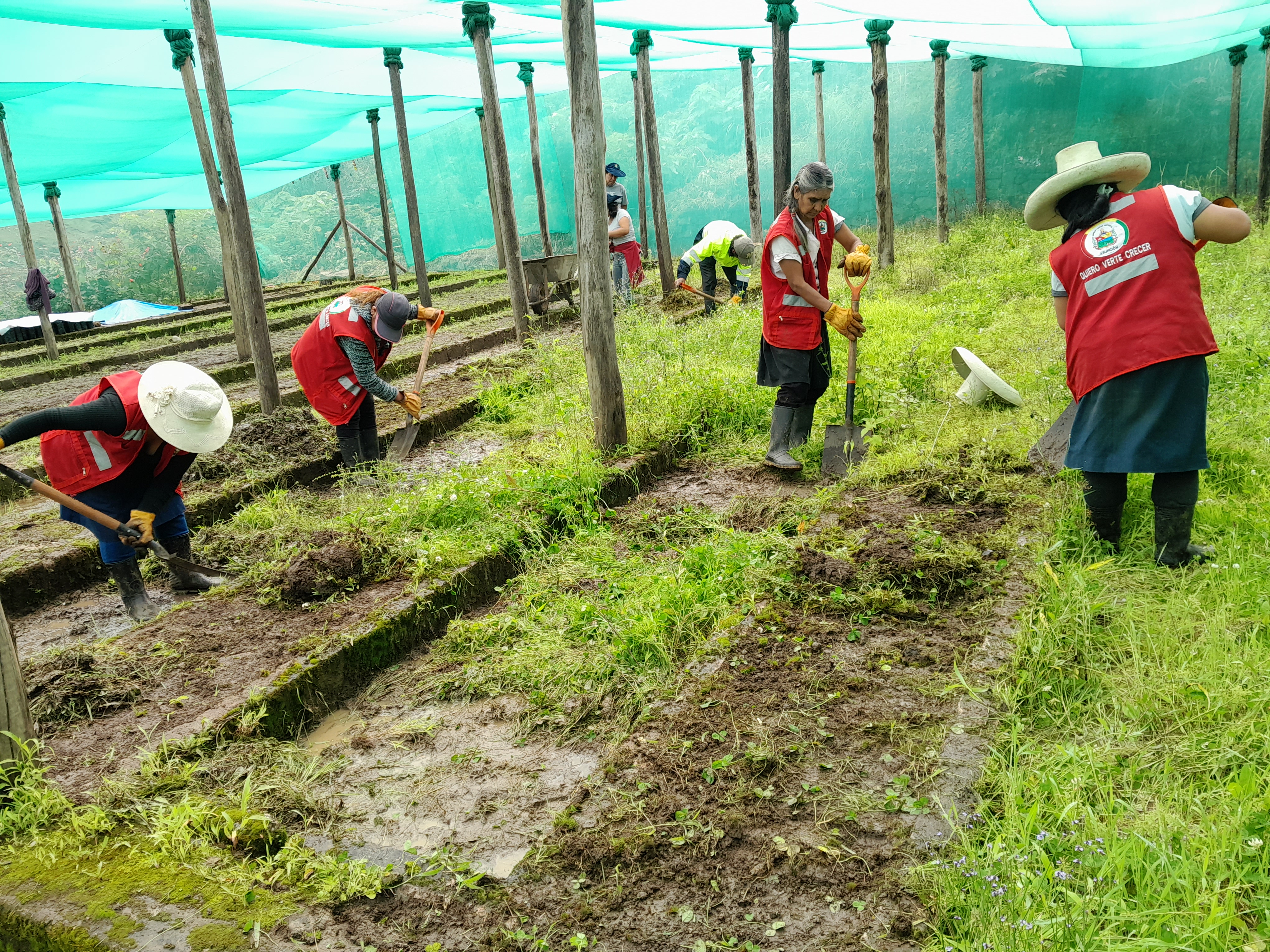 Foto 04 Reactivación del Vivero Municipal