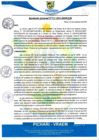 Vista preliminar de documento rgm517