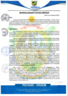 Vista preliminar de documento rgm529
