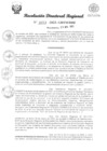 Vista preliminar de documento RDR Nº 3653-2023-GRSM-DRE