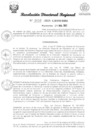 Vista preliminar de documento RDR Nº 3656-2023-GRSM-DRE