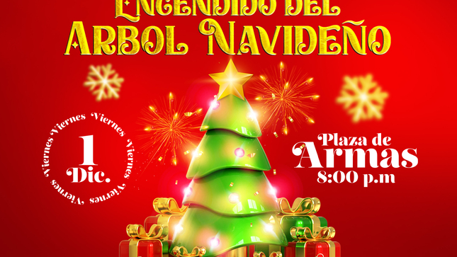 ARBOL NAVIDEÑO