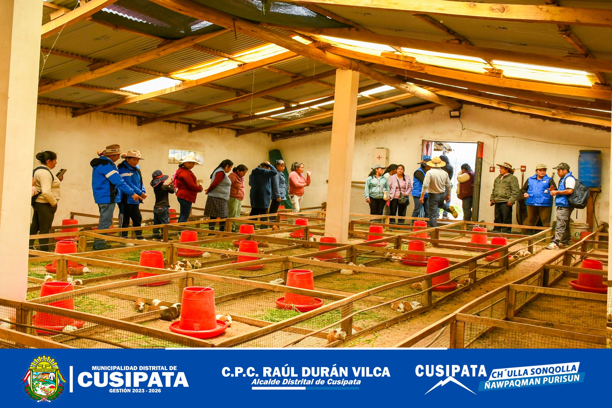 Productores y criadores del Cuy
