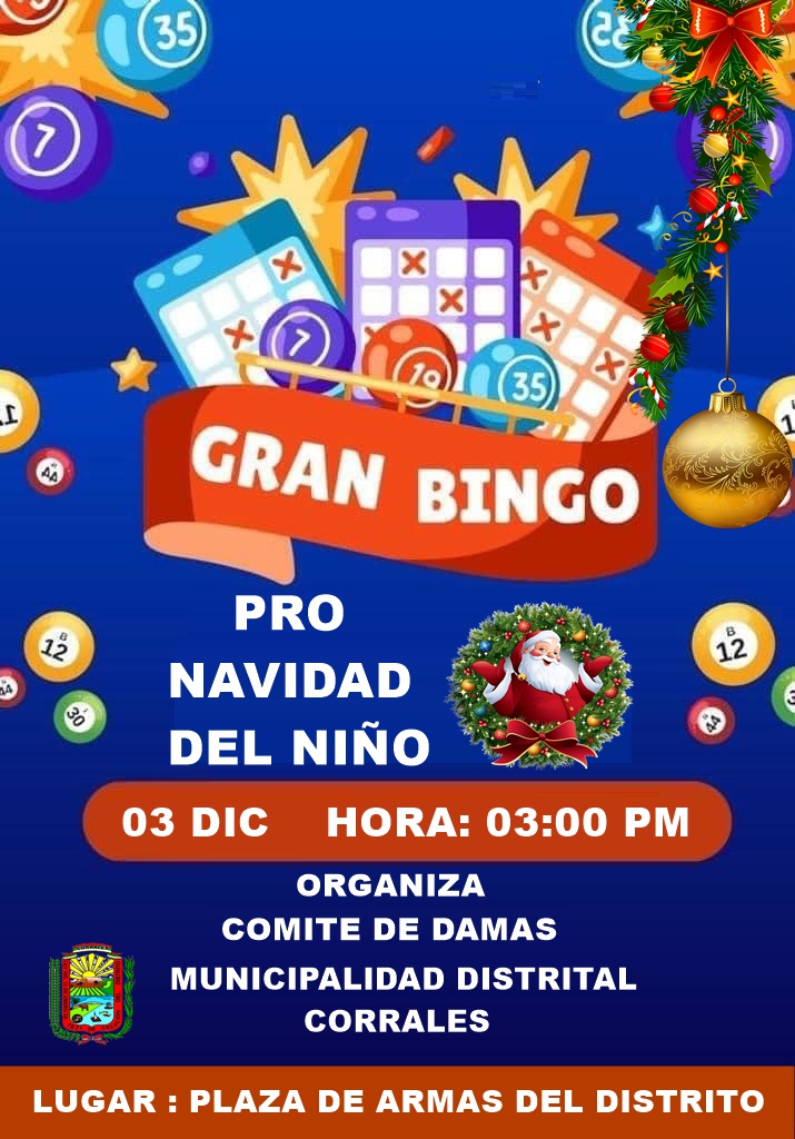 Bingo Pro navidad del niño 2023