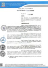 Vista preliminar de documento Resolucion Gerencial 979 QR