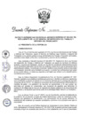 Vista preliminar de documento D.S. 011